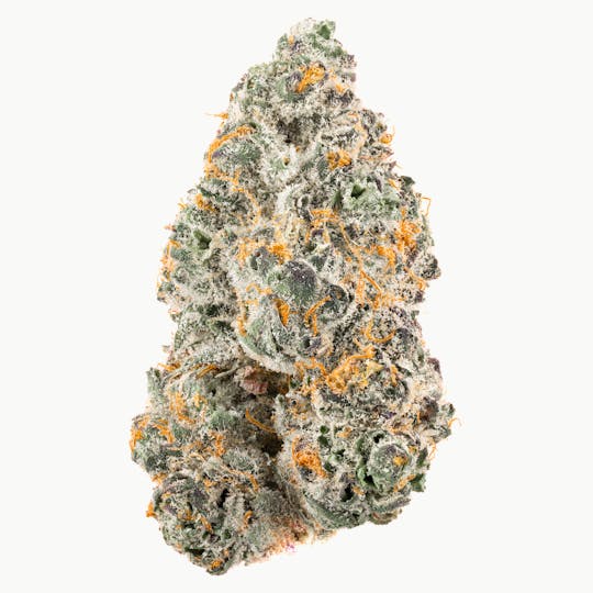 Quality Over Quantity - Tropicanna Cookies Flower 3.5g - 1