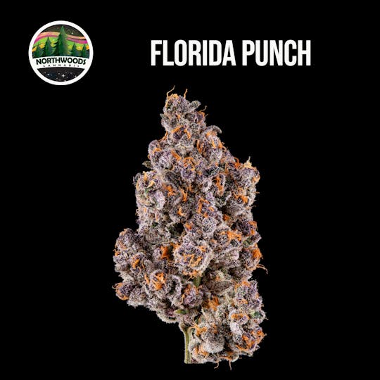 Northwoods Cannabis - Florida Punch Flower - 1