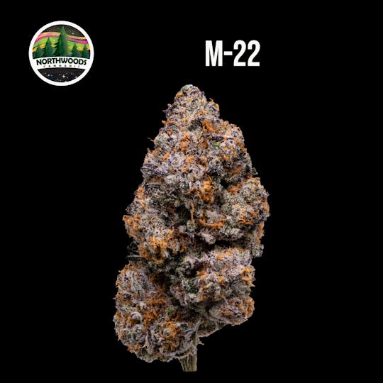Northwoods Cannabis - M-22 Flower - 1