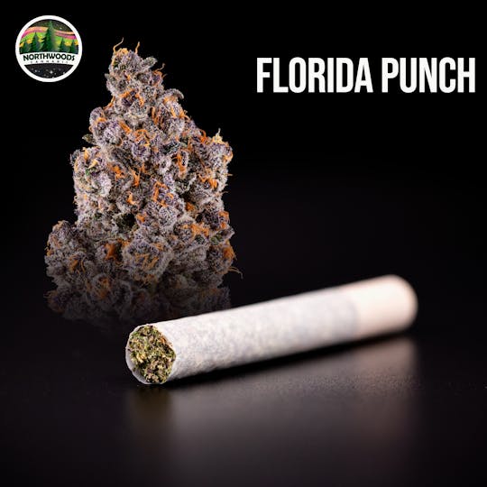 Northwoods Cannabis - Florida Punch Pre-Roll - 1