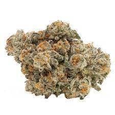 Original Intelligence - Georgia Pie (GELLATI X KUSH MINTS) - 3.5g Flower - 1