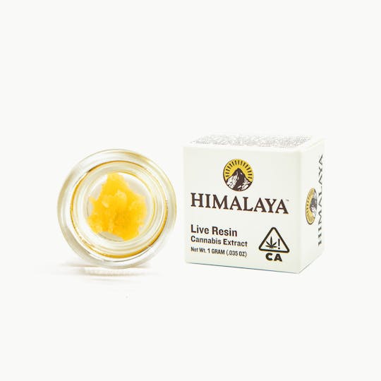 HIMALAYA - Tropical Brainstorm (Live Resin Concentrate) -1G - 1