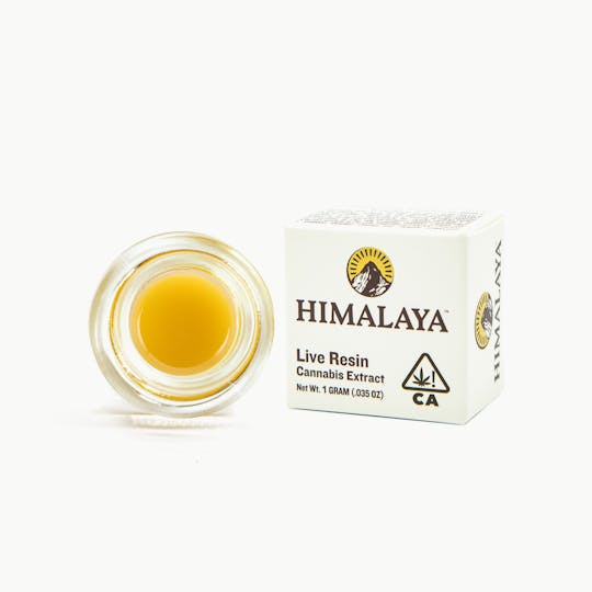 HIMALAYA - Cherry Stout (Live Resin Concentrate) - 1G - 1