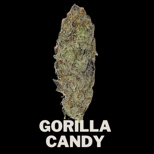 Farmers Reserve - Gorilla Candy Gold Edition - 1