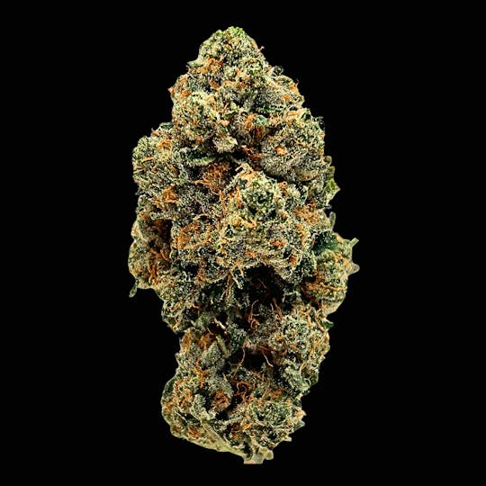 Farmers Reserve - Apple Fritter Gold Edition - 1