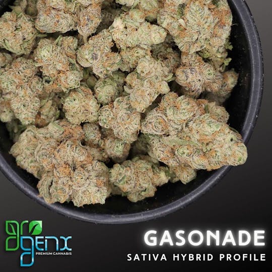 GroGenx - GroGenx - FLOWER (SMALLS) - GASONADE - 1