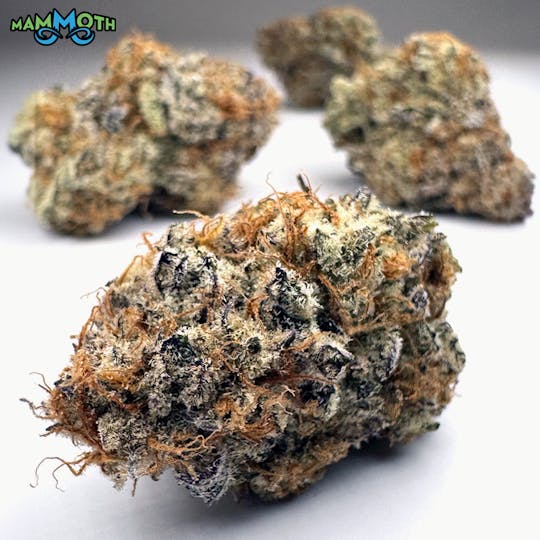 Mammoth Inc - Mac Daddy - 1