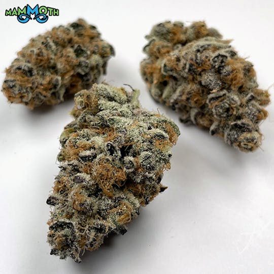 Mammoth Inc - Super Boof - 1