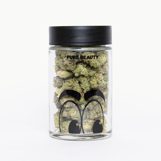 Pure Beauty - Black Cherry Bomb | 14.17g Indoor - 1