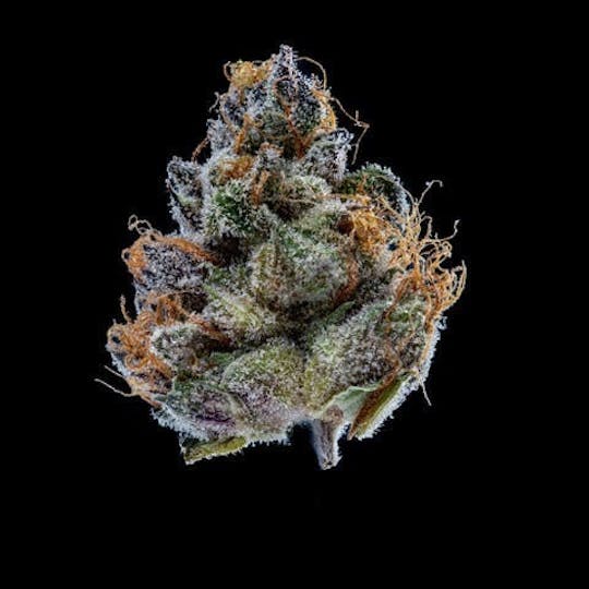 East Coast Cannabis - King Sherb - 1