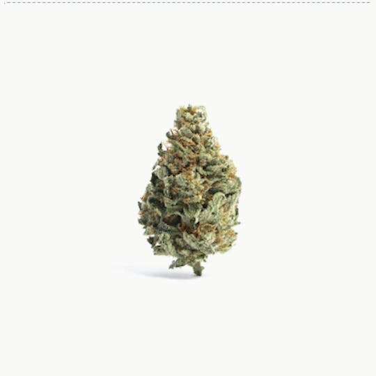 Smoakland - Smoakland - Molotov Cocktail 3.5g (INDOOR) - 1