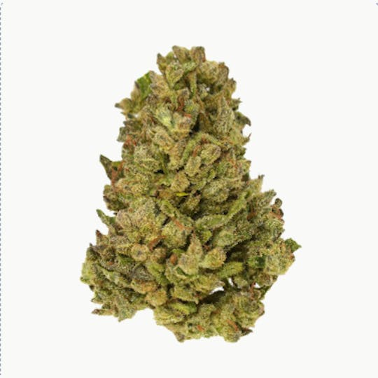 Smoakland - Black - Triple OG (H) - 14g - 1