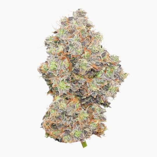 Enlighten - Lemon Fizz - 1