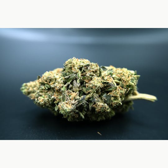Trusty Transportations - Delicata Grapes 1/2 Ounce/14Grams(31%THC, Indica) - 1