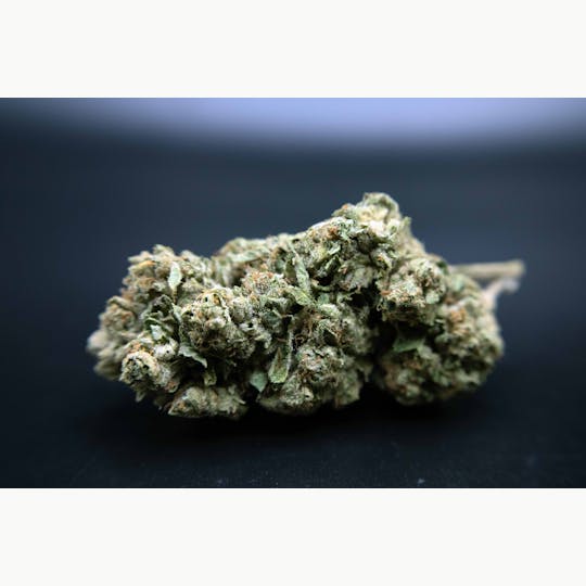Trusty Transportations - Face Off OG 1/2 Ounce/14Grams(28%THC, Indica) - 1