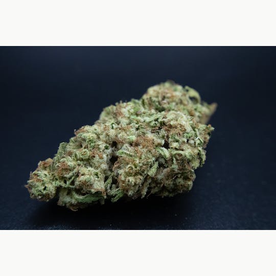 Trusty Transportations - Wakanda 1 Gram(30%THC, Sativa) - 1