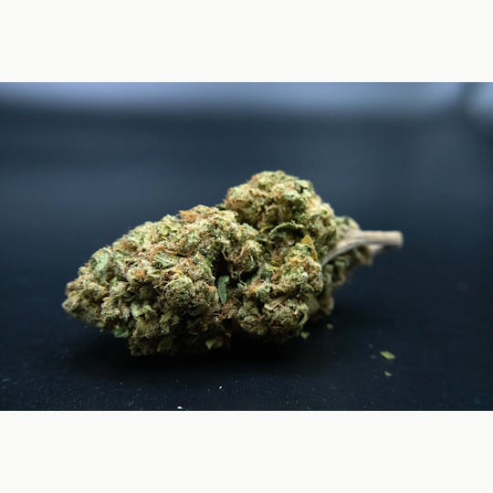 Trusty Transportations - Doc OG 1/2 Ounce/14Grams(28%THC, Indica) - 1