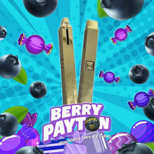 Hollowtips - Diamond Pods 1g- Berry Payton - 1