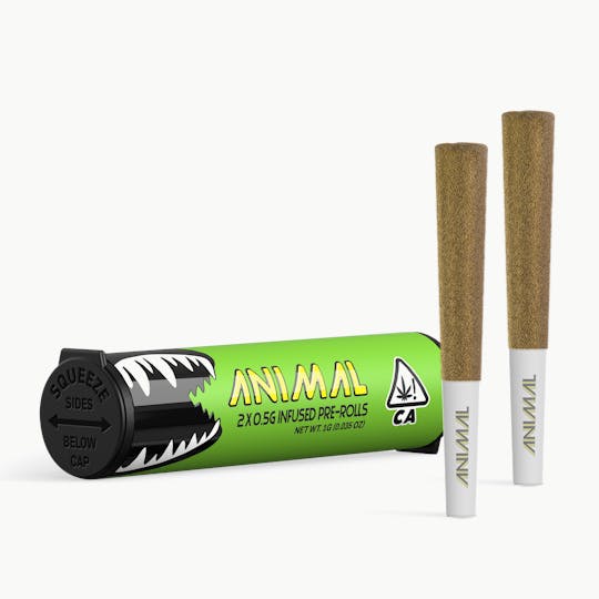 Go Full Animal - ANIMAL - 2x .5G SUPER INFUSED PRE ROLL PACK - APPLE POP - 1