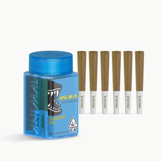 Go Full Animal - ANIMAL - 6x .5G SUPER INFUSED PRE ROLL PACK - BLUEBERRY PIE - 1
