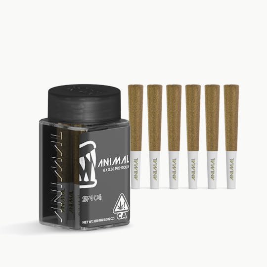 Go Full Animal - ANIMAL - 6x .5G SUPER INFUSED PRE ROLL PACK - SFV OG - 1