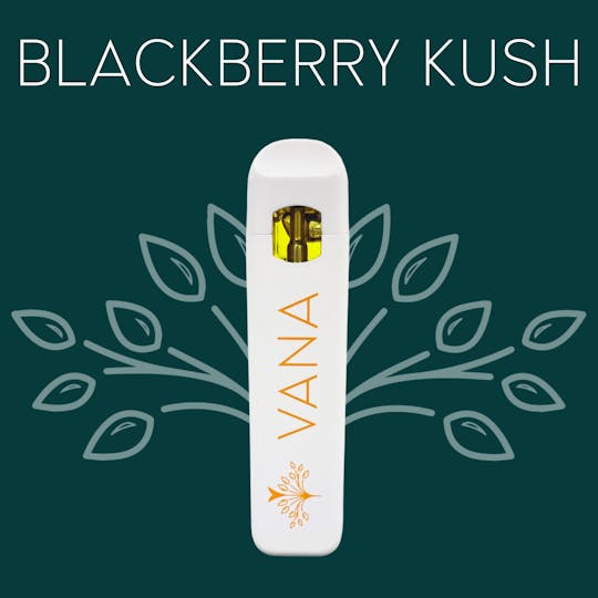 Vana - Blackberry Kush - 1 Gram Disposable - 1