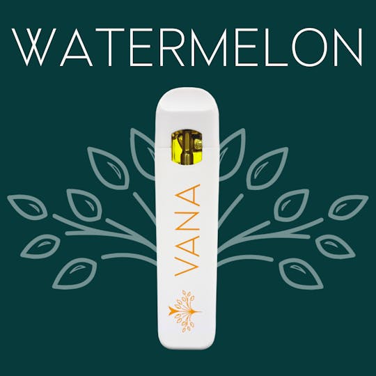 Vana - Watermelon - 1 Gram Disposable - 1
