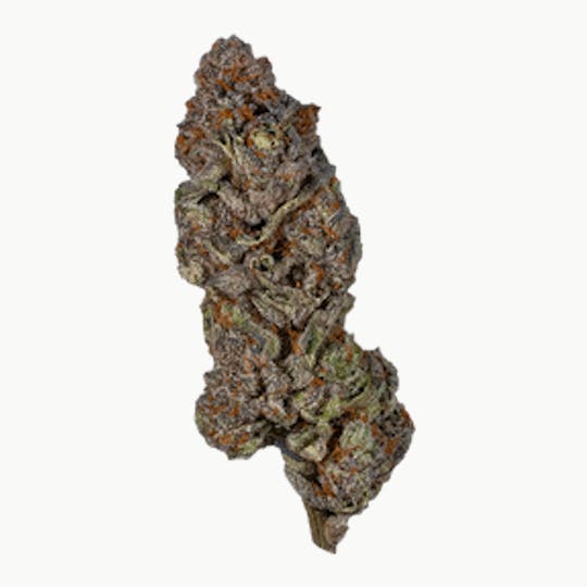Glorious Cannabis Company - G25 x Do Si Dos Flower by Glorious Cannabis Co. - 1