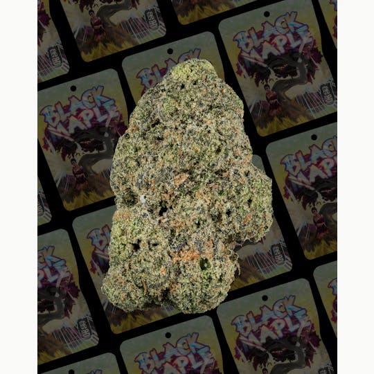 Rkive Reserve - Rkive | Black Maple | 3.5g | Pre-Pack Flower - 1
