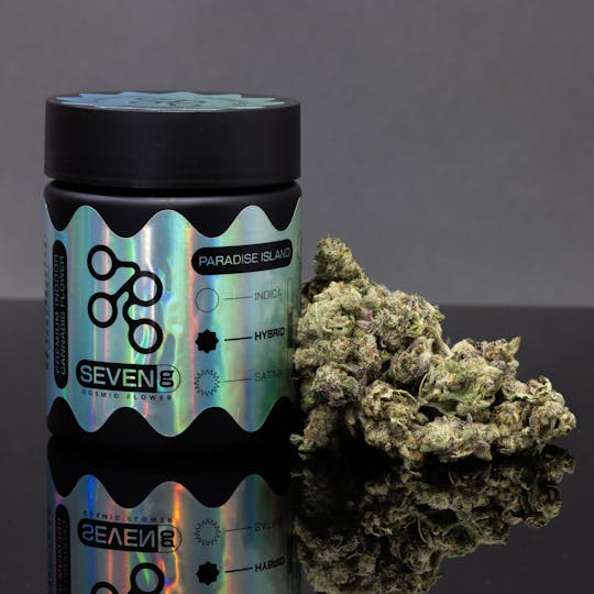 Seven G - Seven G - Paradise Island - 7g - 1