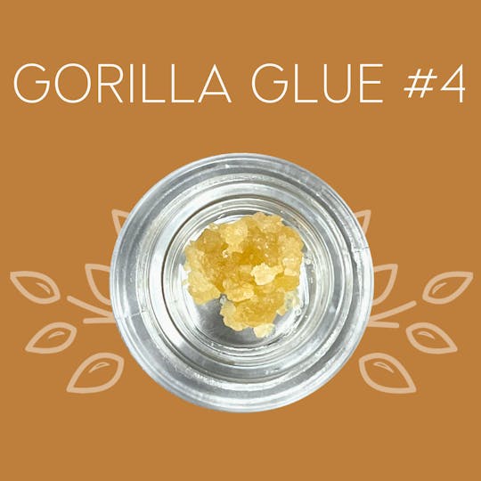 Vana - Gorilla Glue #4 - 1 Gram Sugar - 1