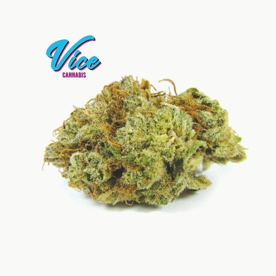 Vice Cannabis - Agent Orange: Flower - 1