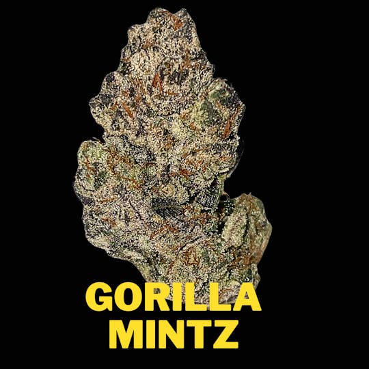 Farmers Reserve - Gorilla Mintz Gold Edition - 1