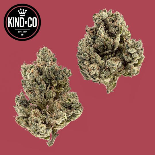 Kind & Co - Chem Fire - 1