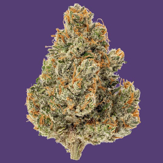 Kind & Co - D Haze - 1