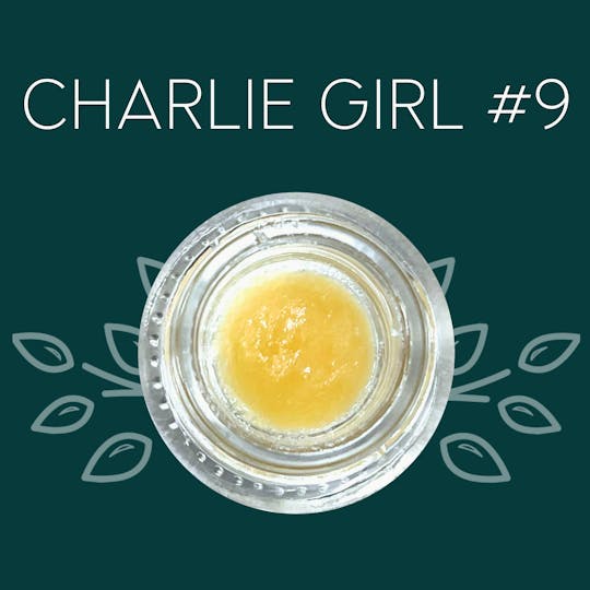 Vana - Charlie Girl #9 - 1 Gram Badder - 1