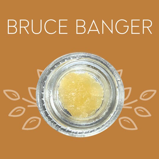 Vana - Bruce Banger - 1 Gram Badder - 1