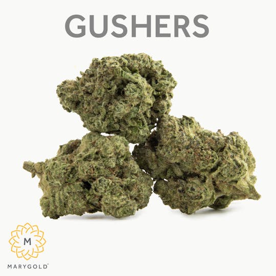 Marygold - Gushers 14g (31% THC Indica) - 1