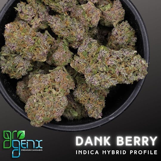 GroGenx - GroGenx - FLOWER (PREMIUM) - DANK BERRY - 1