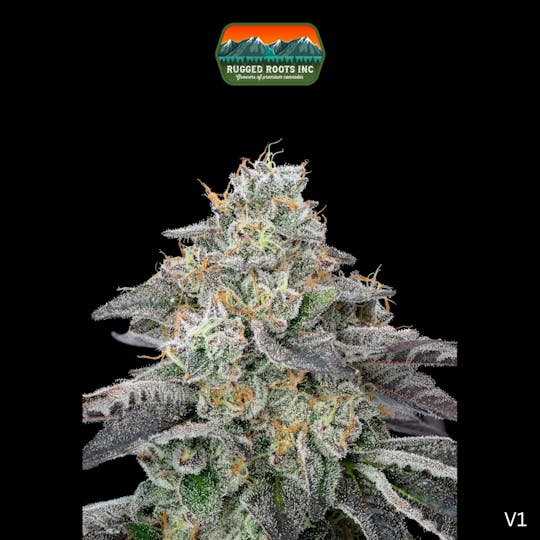 Rugged Roots - Rugged Roots | Permanent Marker 3.5g - 1