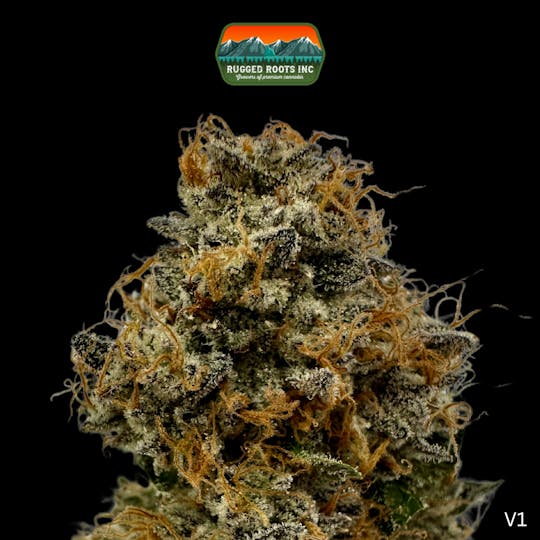 Rugged Roots - Rugged Roots | Candy Bucketz 3.5g - 1