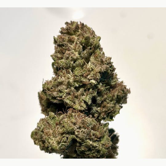 Daedalus Craft Cannabis - Ancient Orange - 1