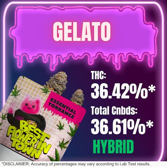 Essential Torrance - ET Gelato Smalls - 1
