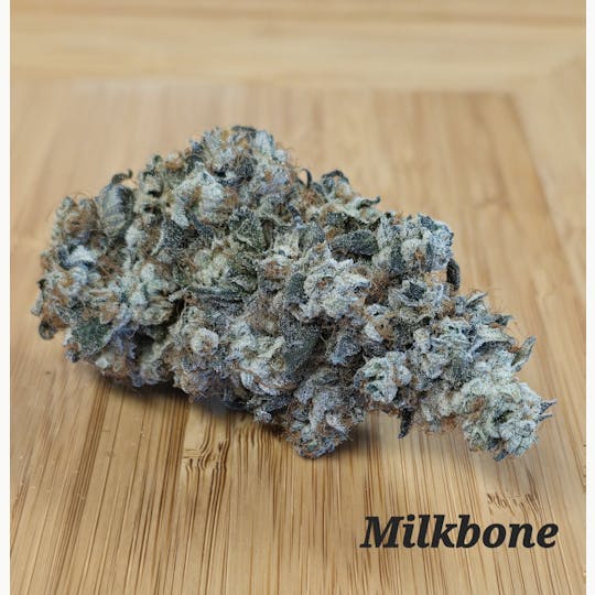 ITF - Milkbone - 1