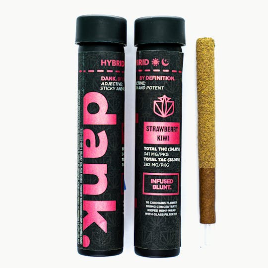 Dank By Definition - STRAWBERRY KIWI 1G INFUSED BLUNT - 1