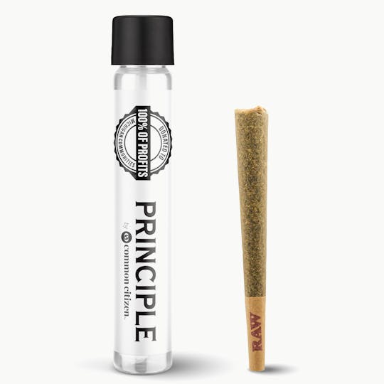 Common Citizen - Principle Fruitie Pebblez 99 Pre-Roll 1g - 1