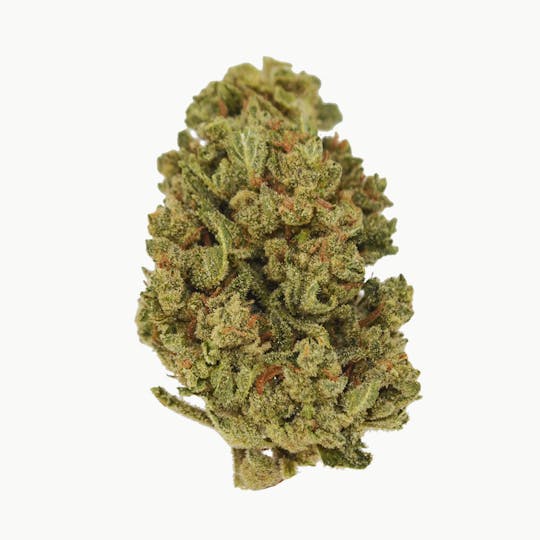 Smoakland - Sierra Hills - Jet Fuel (H) - 28g - 1