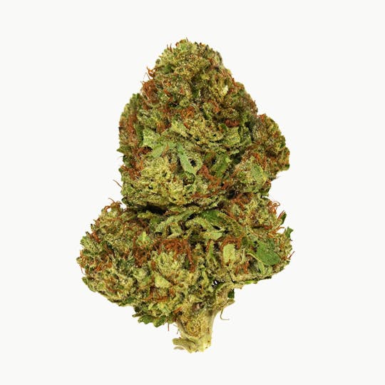 Smoakland - Eighthz - Blue Gelato (H) - 3.5g - 1