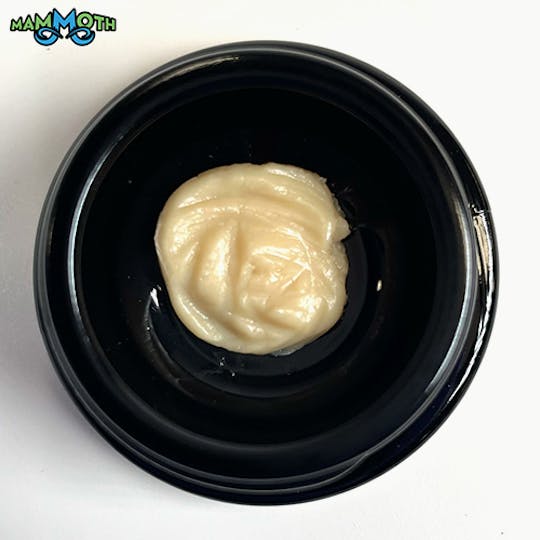 Mammoth Inc - Cap Junky x Watermelon Zkittlez Dry Cure Batter - 1