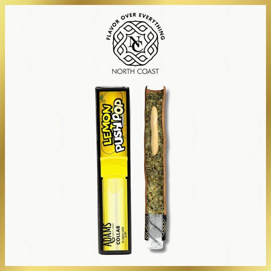 North Coast - N.C. x Adams Family Lemon Push Pop Rillo Donut 2.5g Tier 2 - 1